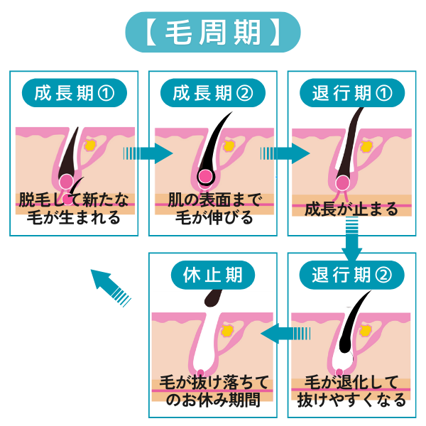 ③施術部位の掛け持ちは避ける