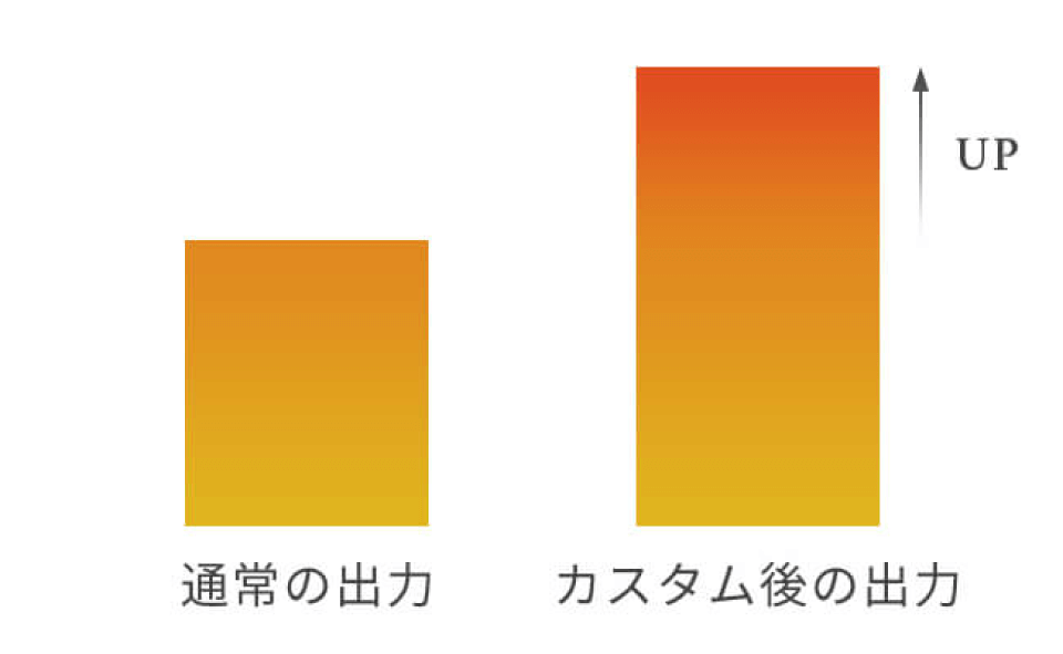 出力のカスタムが可能