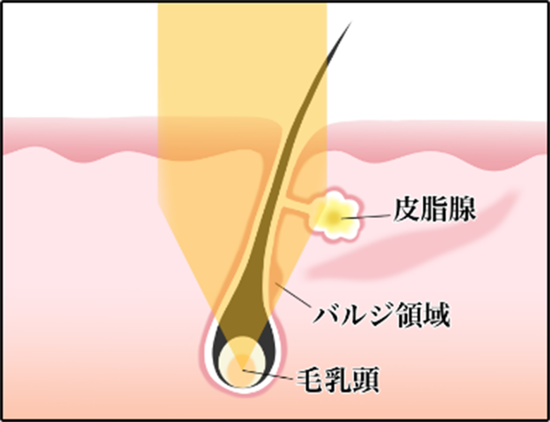 CUBE DUO/PROの効果が高い理由